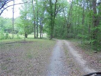 THE WINDING DRIVE