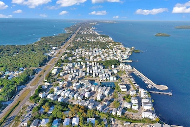 DJI_0348