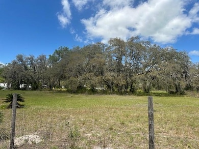 29707 Cooper Rd, Wesley Chapel, FL 33545 - photo 3