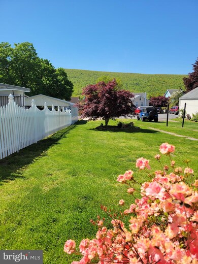 238 E Broad St, Williamstown, PA 17098 - photo 2