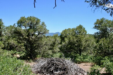 IMG_0695