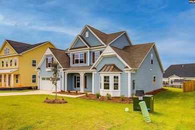 2351 Hadley Crossing, Chapin, SC 29036 - photo 2