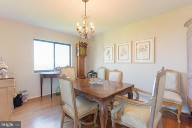 5901 Mount Eagle Dr unit 1606, Alexandria, VA 22303 - photo 7