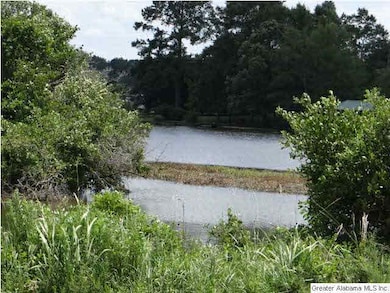 Lake view from front of lot