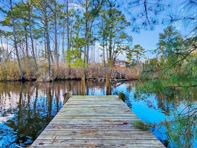 6448 Arbor Ln, Chincoteague Island, VA 23336 - photo 6