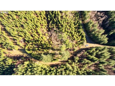 3 NE Jones Creek Rd, Camas, WA 98607 - photo 5