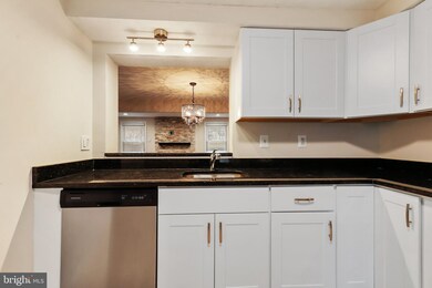 7528 Rain Flower Way, Columbia, MD 21046 - photo 3