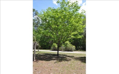 549 NW Amanda St, Lake City, FL 32055 - photo 4