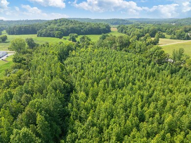 0 Highway 100 unit RTC2946938, Decaturville, TN 38329 - photo 3