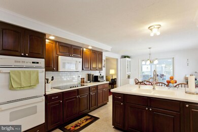 6241 Stonewall Jackson Hwy, Front Royal, VA 22630 - photo 4