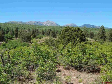 0 Tristan Trail unit 746328, Durango, CO 81301 - photo 2