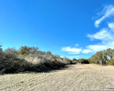 1105 County Road 245, Hondo, TX 78861 - photo 7