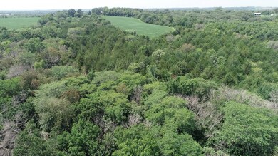 0 175th St, Gravity, IA 50848 - photo 4