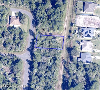 2707 Fitzpatrick Ave SW, Palm Bay, FL 32908 - photo 7