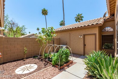5950 W Drake Ct, Chandler, AZ 85226 - photo 4