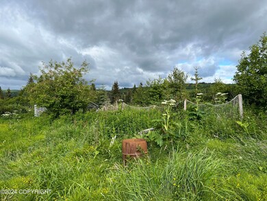 64985 Nikolaevsk Rd, Nikolaevsk, AK 99556 - photo 5