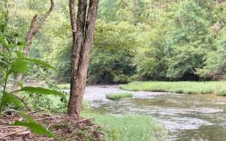 LT813 Lonesdale Ln, Oakman, GA 30732 - photo 2