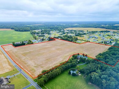 20450 Elks Lodge Rd, Lincoln, DE 19960 - photo 5