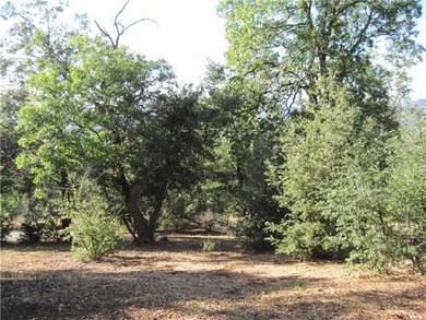 Nice oak trees.