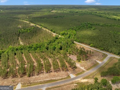 0 Dewey Thomas Rd unit LOT 15 10589727, Dexter, GA 31019 - photo 4