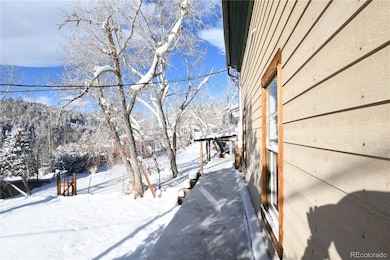 414 Saint James St, Central City, CO 80427 - photo 4