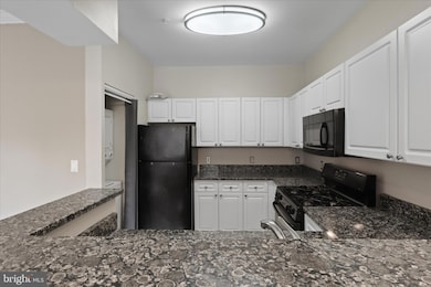 12909 Alton Square unit 201, Herndon, VA 20170 - photo 5