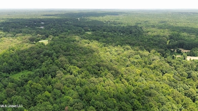 dji_fly_20250710_162108_403_175243802679