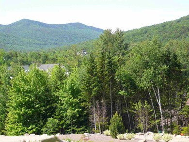 36 Lost Pass Rd unit Lot 22, Waterville Valley, NH 03215 - photo 4