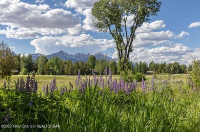 Teton view