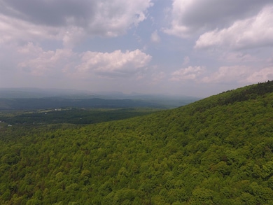 0 Bennett Rd, Kirby, VT 05832 - photo 4