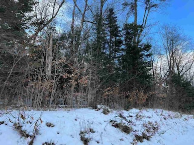 TBD Donegal Bay Rd, Beaver Island, MI 49782 - photo 3