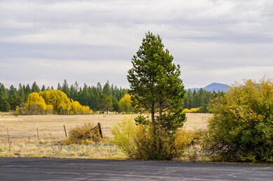 Great Meadow East