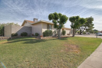 Front Yard