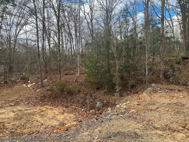 IMG-3716-1