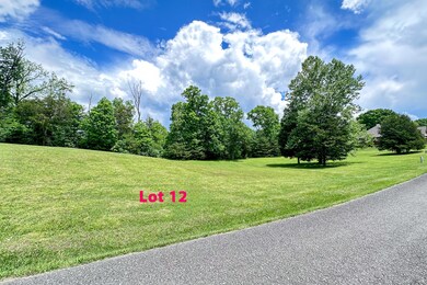 Lot 12 Ground