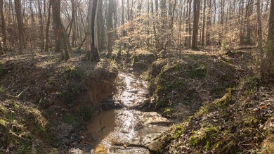 0 Lake Rd, Clinton, SC 29325 - photo 6