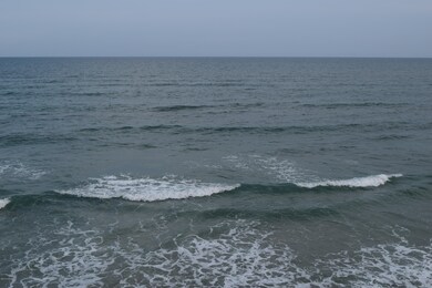 DSC_0790