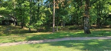 Lot 11 Birchbrook - Eden Isle, Heber Springs, AR 72543 - photo 7