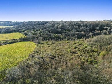 1 Hicks Ln W, Columbia, TN 38401 - photo 3