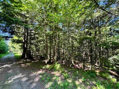 Lot 87 Langway Rd, Lyman, NH 03585 - photo 2