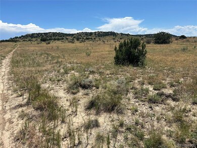 Lot 17 Longhorn Ranch unit 17, Model, CO 81059 - photo 6