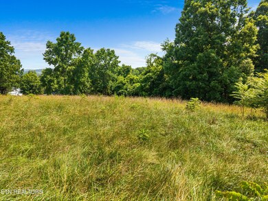 009-440PheasantView-Rutledge-TN-37861-SM