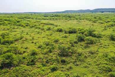 262.71 Acres unit FM 1191, Jermyn, TX 76459 - photo 7
