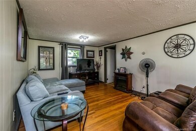 138 Air Mail Dr, Hendersonville, NC 28792 - photo 6