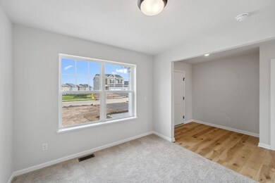 421 James Pkwy, Elko New Market, MN 55054 - photo 5