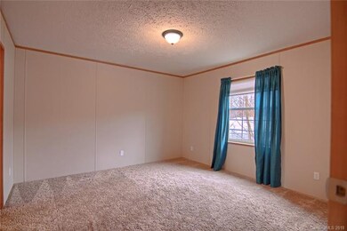 50 Ramona Dr, Leicester, NC 28748 - photo 7