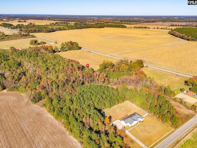 536 Elliott Hwy, Wisacky, SC 29010 - photo 5