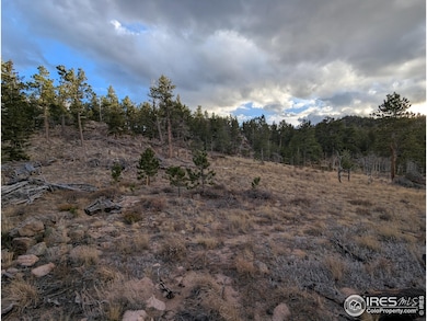 29 Santa Clara Ct, Red Feather Lakes, CO 80545 - photo 4