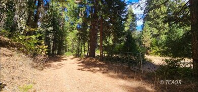 2971 13 Dips Rd, Hayfork, CA 96041 - photo 7