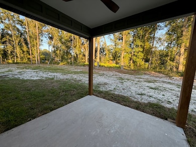 17371 NW 81st Terrace, Fanning Springs, FL 32693 - photo 6